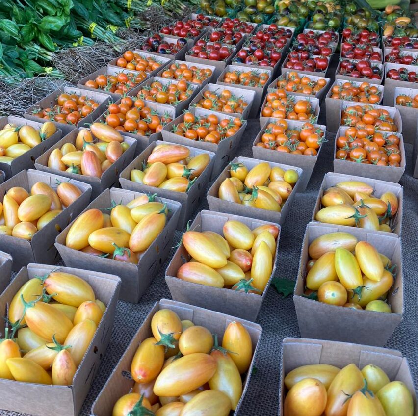 Hollywood Farmers' Market 1